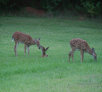 garymreed002004.jpg
