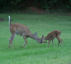 garymreed002005.jpg