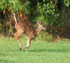 garymreed002007.jpg