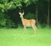 garymreed002008.jpg