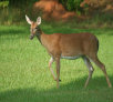 garymreed002009.jpg