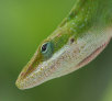 garymreed013004.jpg