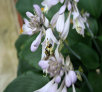 garymreed013008.jpg