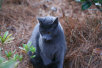 garymreed013010.jpg