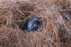 garymreed013011.jpg