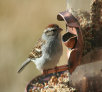 garymreed024004.jpg