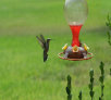 garymreed024008.jpg