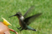 garymreed024011.jpg