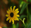 garymreed035002.jpg