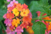 garymreed035010.jpg