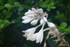 garymreed035011.jpg