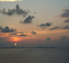 garymreed046005.jpg