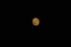 garymreed046010.jpg