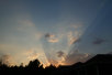 garymreed046011.jpg