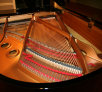 garymreed057009.jpg