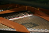 garymreed057011.jpg