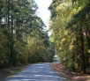 garymreed066002.jpg