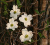 garymreed066003.jpg