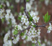 garymreed066005.jpg