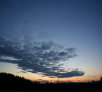 garymreed066007.jpg
