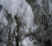 garymreed066009.jpg