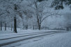 garymreed066010.jpg
