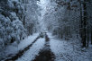 garymreed066011.jpg